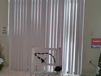 ms_mochii webcam model stream image