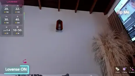 neo_dimou_ webcam model stream image