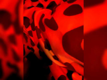 Karinasky webcam model stream image