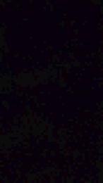 nordwind32 webcam model stream image