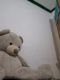 zpmiguel webcam model stream image