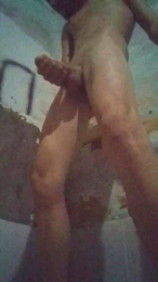 Sharkbird webcam model stream image