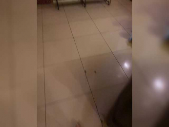 purpur33 webcam model stream image