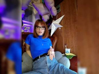 Vikeyna webcam model stream image