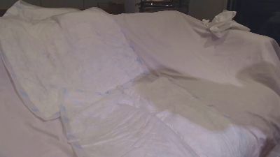 GaelLaurent webcam model stream image