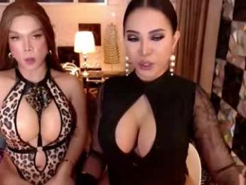 chixfranching webcam model stream image