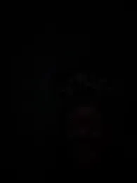 HungStr8Lightskin webcam model stream image