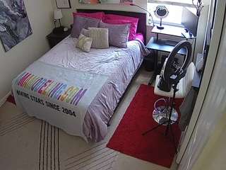 voyeurcam-hornyhostel-01 webcam model stream image