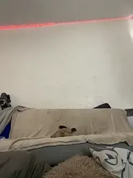 kushyy webcam model stream image