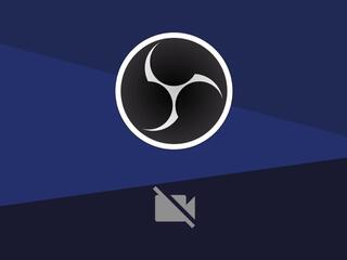Peter Gonzales webcam model stream image