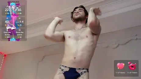 FreyrVik webcam model stream image