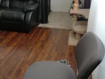 thekodyy webcam model stream image