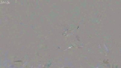 Jay_Gape webcam model stream image