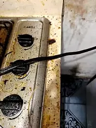 Carlosvelaz561162 webcam model stream image