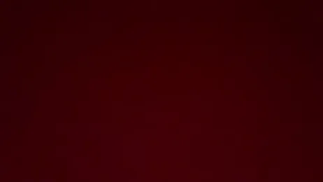 bertfaust webcam model stream image
