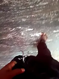 dolphiinn webcam model stream image