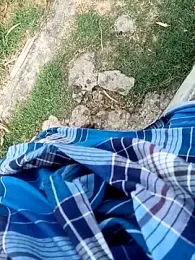 dolphiinn webcam model stream image