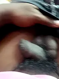 dolphiinn webcam model stream image