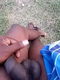 dolphiinn webcam model stream image