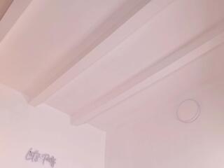 Aryas Collins webcam model stream image