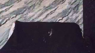 TonySpliff webcam cam4 model stream image