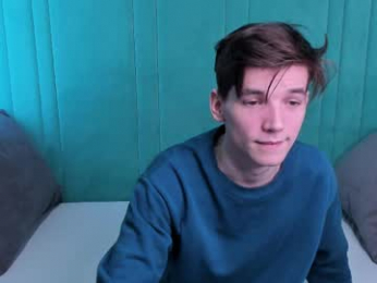 willsinn_ webcam model stream image
