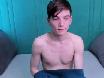 willsinn_ webcam model stream image