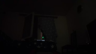 Rebelwe webcam model stream image