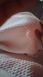 Lolipop_lo webcam model stream image