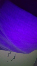 gifted79 webcam model stream image