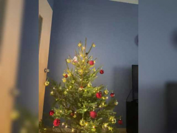 _Mimo_ webcam bongacams model stream image