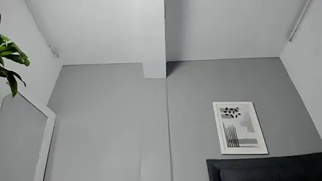 Tylerffoxx webcam model stream image