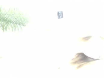 prues webcam model stream image
