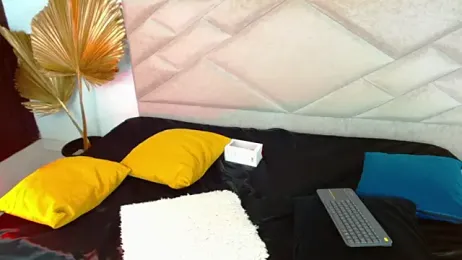 ParisRice webcam model stream image