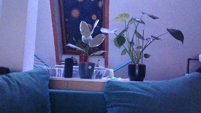Casper_1988 webcam model stream image