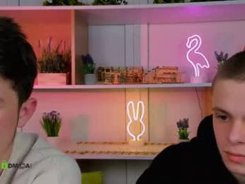 veldi_to webcam model stream image