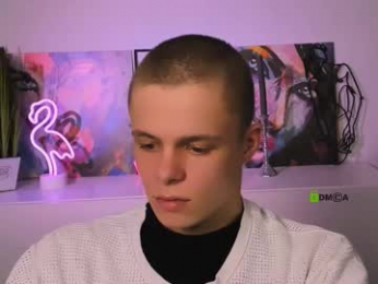 veldi_to webcam model stream image