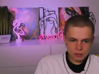 veldi_to webcam model stream image