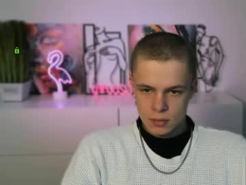 veldi_to webcam model stream image