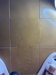 Wet-Pussycat webcam model stream image