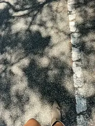 Wet-Pussycat webcam model stream image