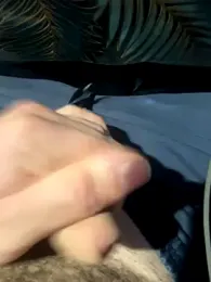 dimitriei webcam model stream image