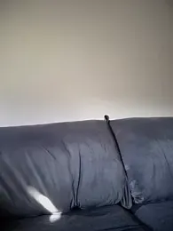 PedroKriocaX webcam stripchat model stream image