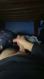 77vixo webcam model stream image