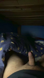 77vixo webcam model stream image