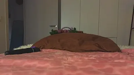 Lili_Roze_ webcam stripchat model stream image