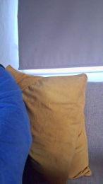 IviGui webcam model stream image