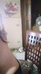Sexyluna81J webcam model stream image