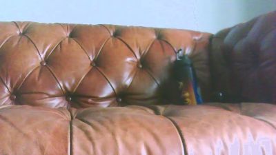 Naughtyedge webcam model stream image