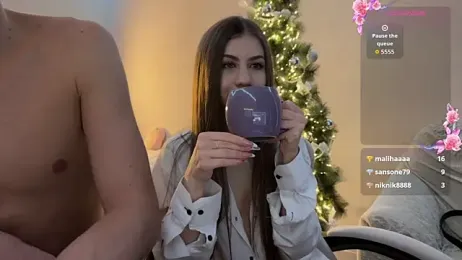 apex_sh webcam model stream image